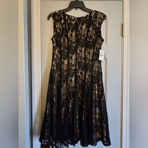Elegant Black Lace Dress